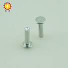 Flat head aluminum rivet 3 * 12 * 6